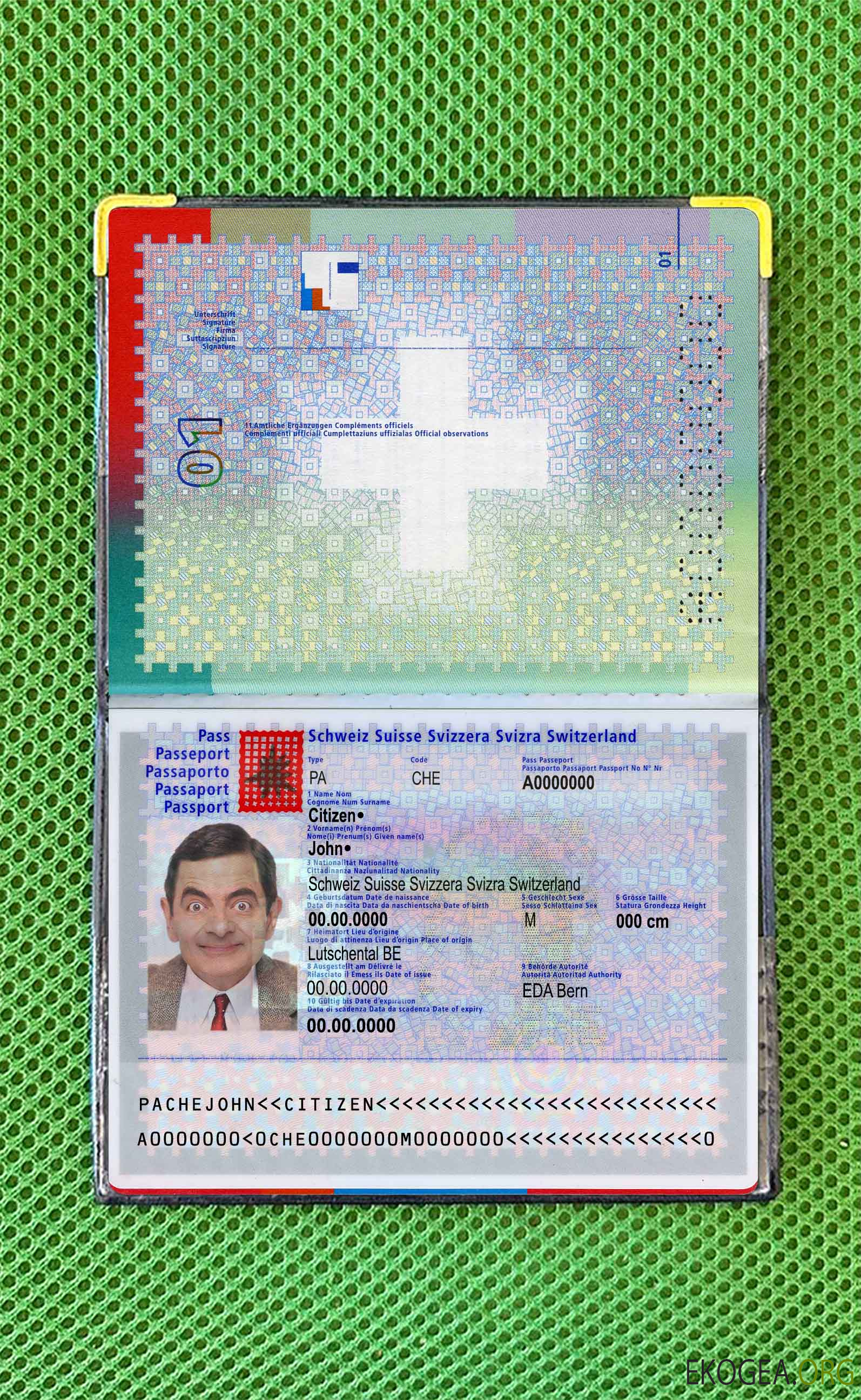 Look photo du passeport suisse